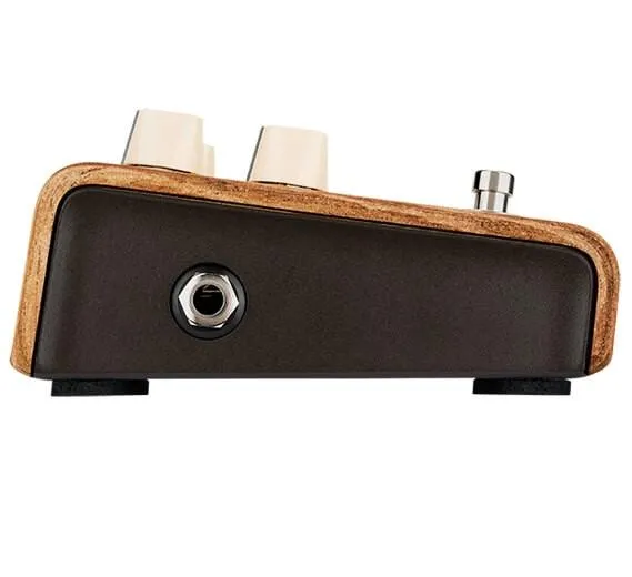 L.R. Baggs Align Series Session Acoustic Pedal